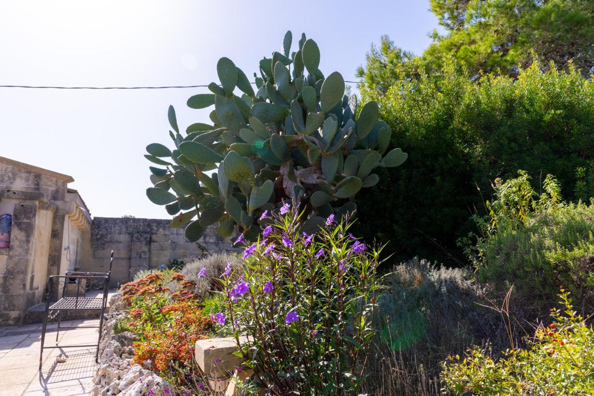 Masseria Caliani Borgagne Dış mekan fotoğraf